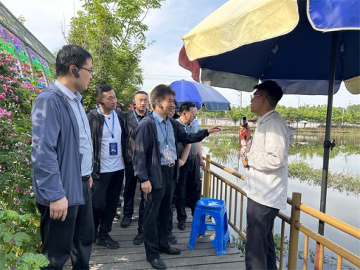 忻州市学习践行“千万工程”经验培训班前往浙江杭州新宇村，双桥村参观学习浙江千万工程，乡村振兴经验