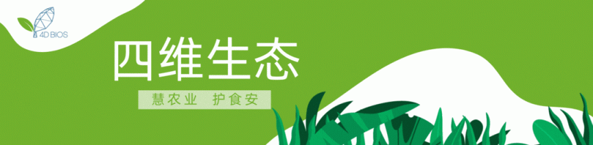 四维生态数智植物工厂