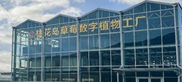 四维生态数智植物工厂  第16张