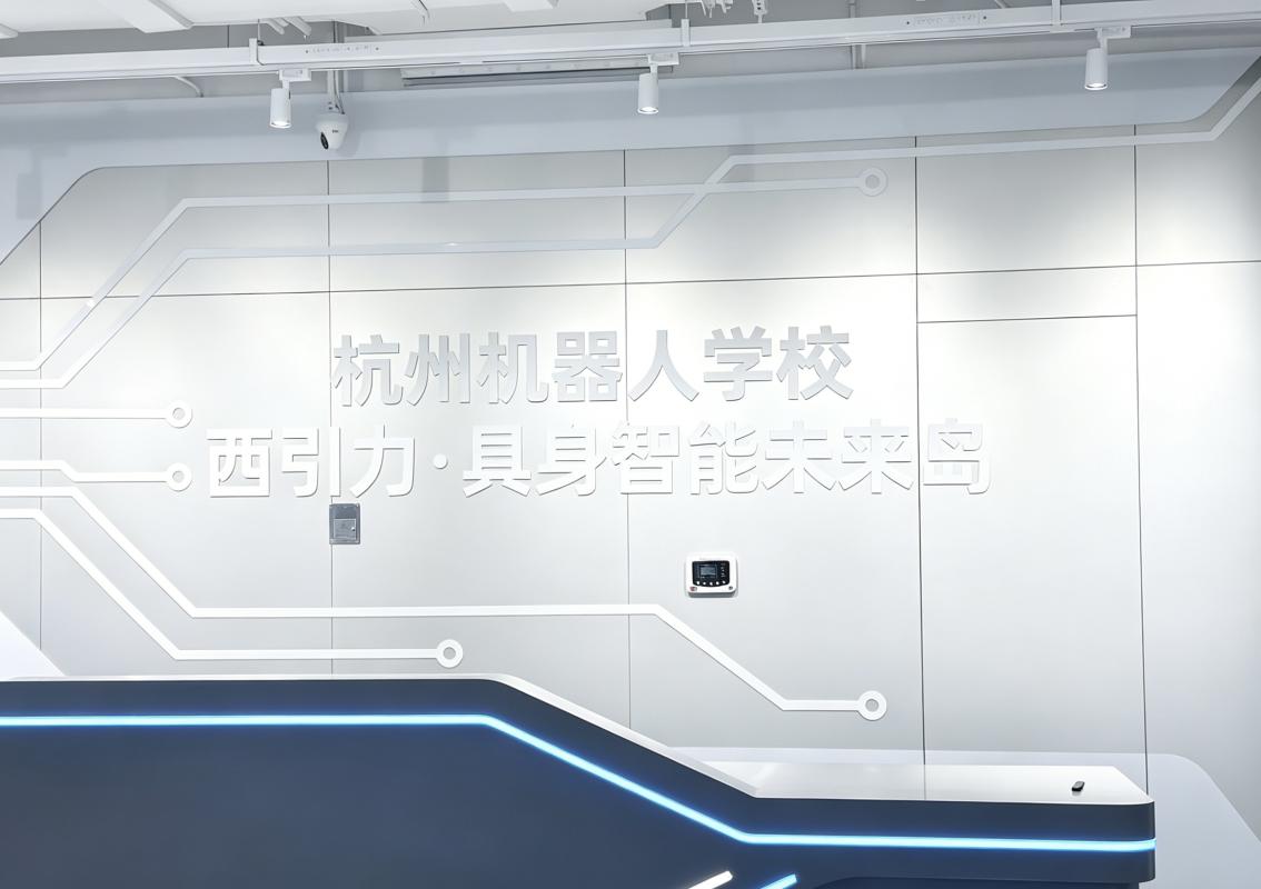 西引力·具身智能未来岛 第1张